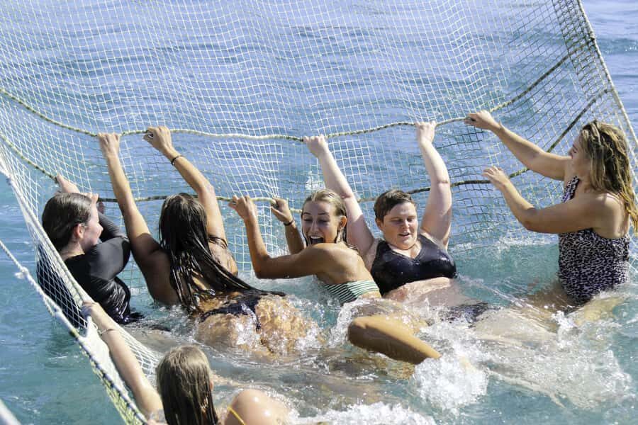 Paihia: Bay of Islands Dolphin Eco Cruise & Island Stopover - Urupukapuka Island stopover (1.5 hours): Otehei Bay and Project Island Song tracks