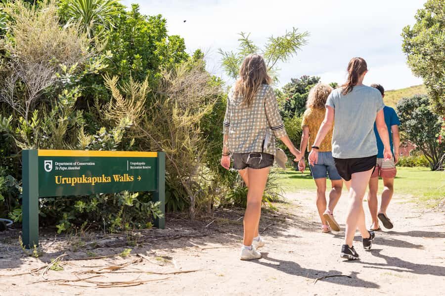 Paihia: Bay of Islands Dolphin Eco Cruise & Island Stopover - Should you book the Paihia Bay of Islands Dolphin Eco Cruise?