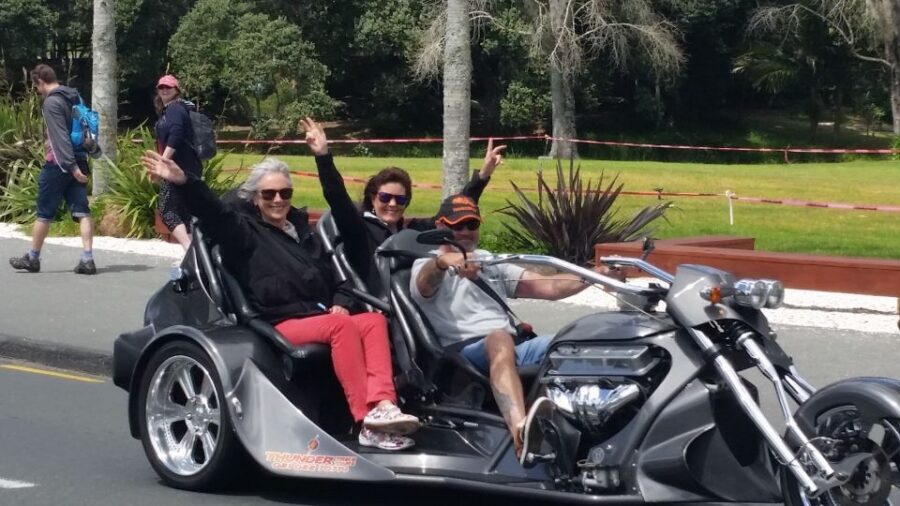 Paihia: Bay of Islands Trike Tour Experience - Adrenaline Junkie Tour (1 hour): for thrill lovers