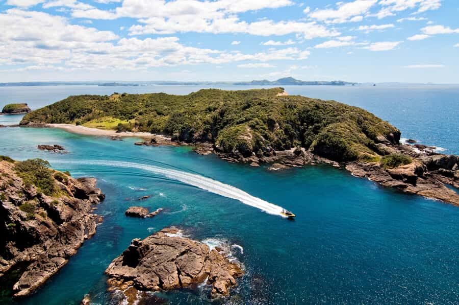 Paihia: Hole in the Rock Fast Boat Ocean Adventure - Paihia to the Bay of Islands: what the 90-minute ride is really like