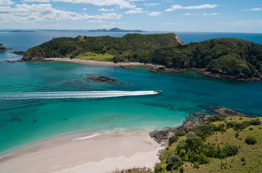Paihia: Hole in the Rock Fast Boat Ocean Adventure - Wildlife spotting: whales, seals, dolphins, and penguins