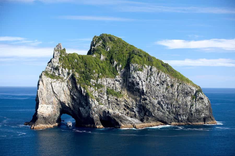 Paihia/Russell: Hole in the Rock, Dolphins & Island Cruise - Key highlights that make this cruise worth your time