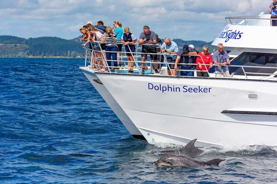 Paihia/Russell: Hole in the Rock, Dolphins & Island Cruise - Paihia or Russell: a Bay of Islands cruise built for views