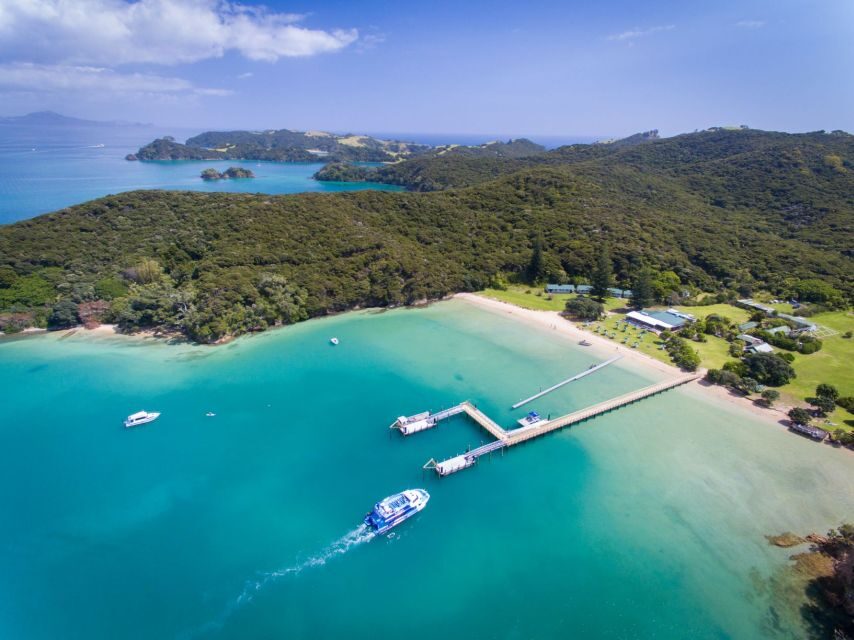 Paihia/Russell: Hole in the Rock, Dolphins & Island Cruise - Urupukapuka Island and Otehei Bay: the swim-and-walk break