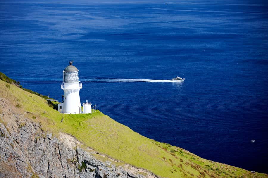 Paihia/Russell: Hole in the Rock, Dolphins & Island Cruise - Should you book the Hole in the Rock cruise?
