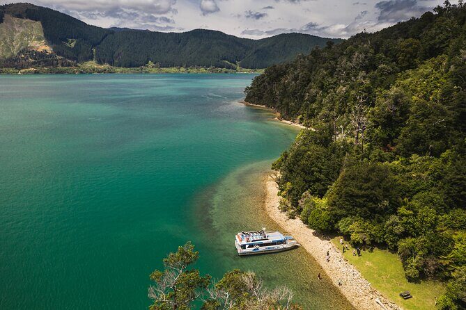 Pelorus Mail Boat Sunday Scenic Cruise – Full-Day from Havelock - Key Highlights You’ll Actually Care About