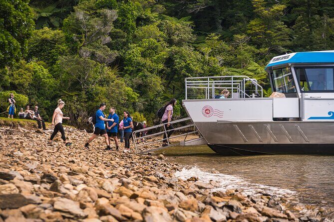 Pelorus Mail Boat Sunday Scenic Cruise – Full-Day from Havelock - Why This “Postie’s Day Off” Cruise Fits a 6-Hour Day
