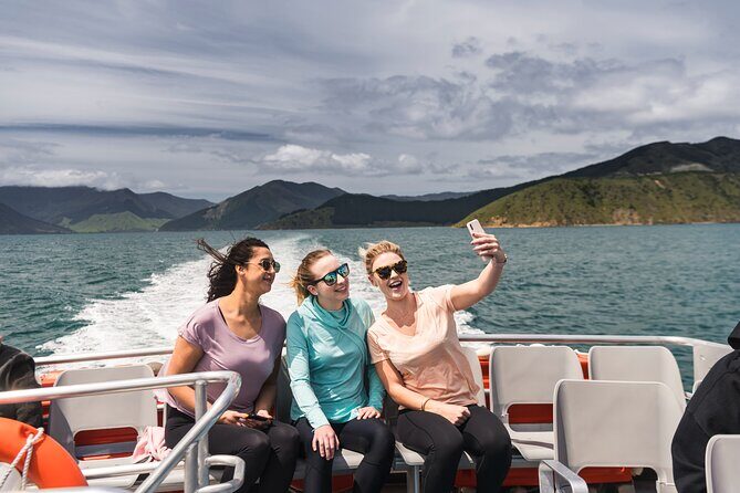 Pelorus Mail Boat Sunday Scenic Cruise – Full-Day from Havelock - Lunch Rules That Can Change Your Perfect Day