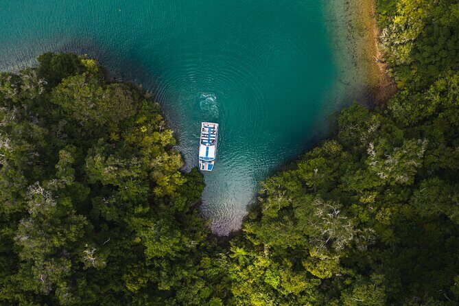 Pelorus Mail Boat Sunday Scenic Cruise – Full-Day from Havelock - Hopai Bay Farm and the Sounds Garden (Gerard Family)
