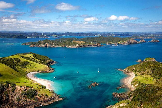 Phantom Sailing Bay of Islands - Homemade lunch on deck: the included meal that actually matters