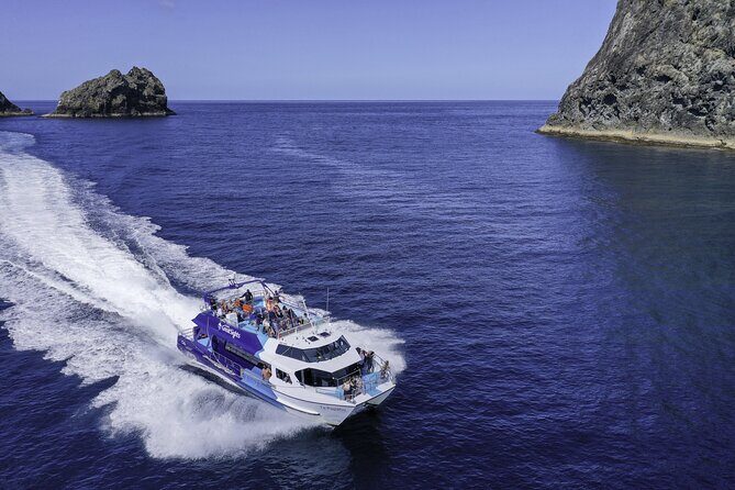 Phantom Sailing Bay of Islands - Dolphins, stories from the sea, and that small-boat attention