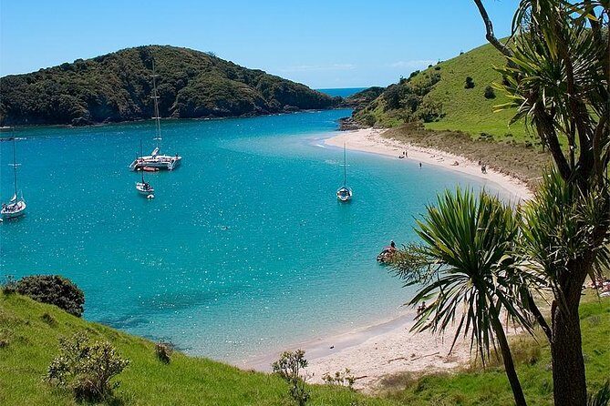 Phantom Sailing Bay of Islands - Price and value: what $121.01 really buys