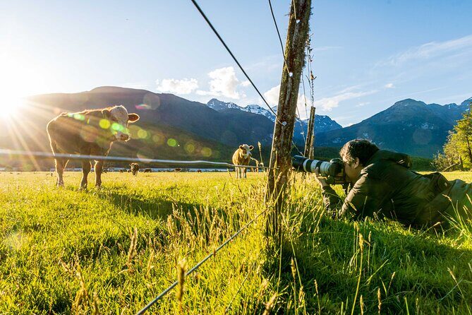 Photography Tour from Queenstown to Glenorchy - 1/2 Day - What’s included (and what you’ll need to bring)