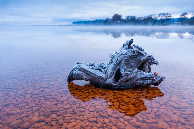 Photography Tour from Queenstown to Glenorchy - 1/2 Day - Price value: what $235.82 per person buys you