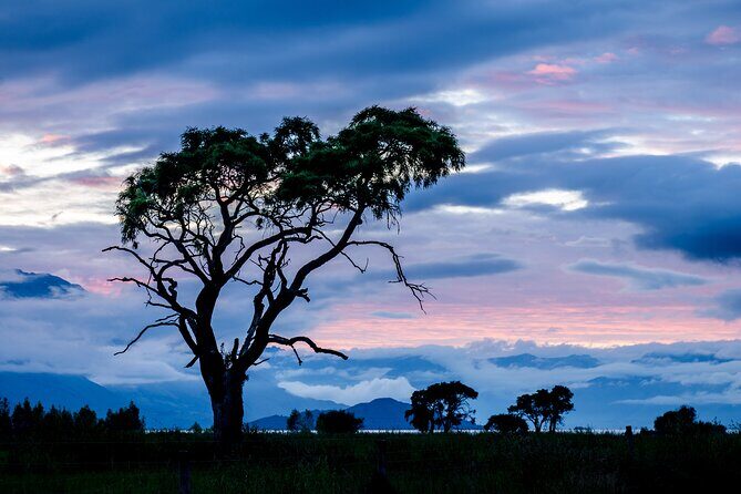 Photography Tour from Queenstown to Glenorchy - 1/2 Day - Who this tour suits best
