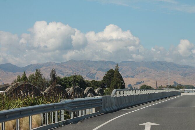 Picton & Blenheim Scenic Tour - Key things I’d bet you’ll notice first