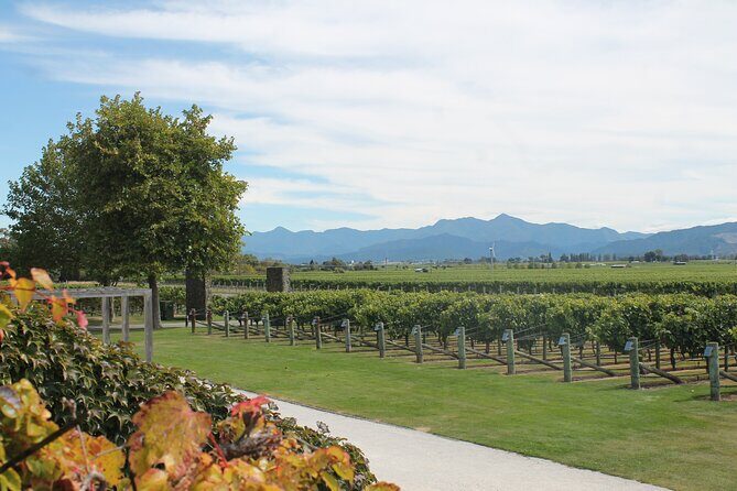 Picton & Blenheim Scenic Tour - Price and value: is $80.67 per person fair?