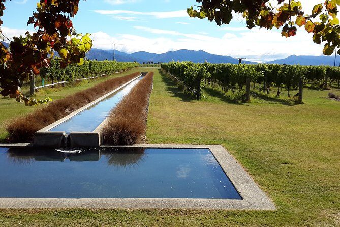 Picton Cruise Ship Shore Excursion Marlborough Wine Tour - My Booking Verdict: Should You Book It?