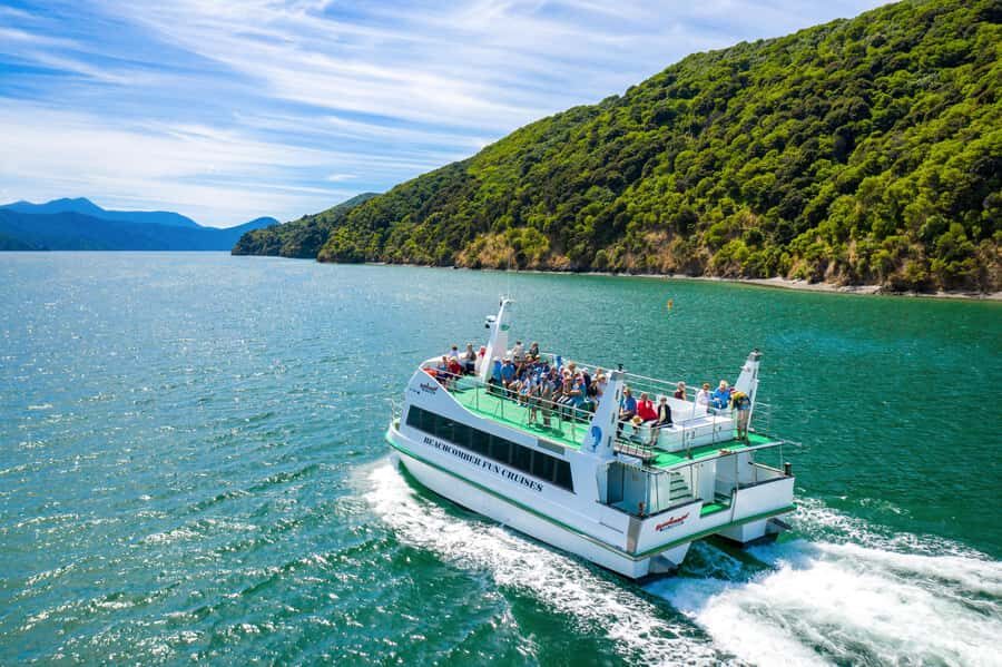 Picton Shore Excursion: Queen Charlotte Sounds Cruise - Key things that make this cruise worth it
