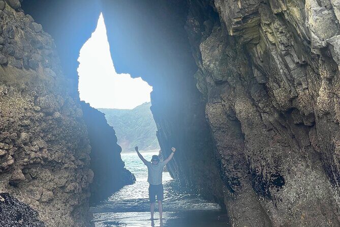 Piha Beach - Arataki Visitor Centre Stops That Give Meaning to the Scenery