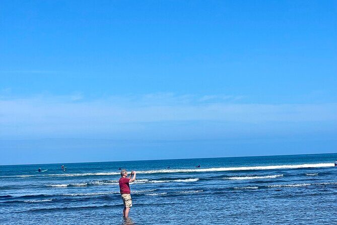 Piha Beach - The Hillary Trail Start: A Short Walk With a Real Payoff