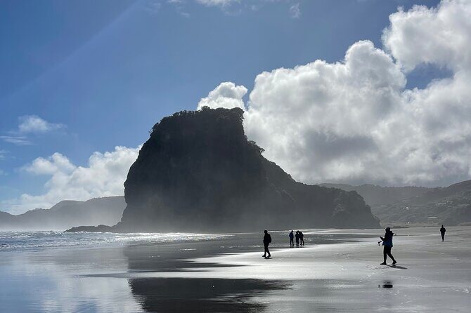 Piha Beach - Rainforest Trek to Kitekite Falls (And a Summer Swim If Conditions Are Right)