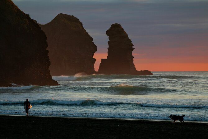 Piha Beach & Wilderness Nature : PRIVATE TOUR 8 hrs - Key highlights that make this tour worth your time