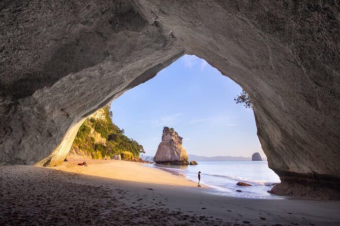 Piha Beach & Wilderness Nature : PRIVATE TOUR 8 hrs - Mission Bay: the easy beach break with Rangitoto in view
