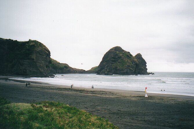 Piha Beach & Wilderness Nature : PRIVATE TOUR 8 hrs - Piha Beach: black sand, rugged coast, and time in the wilderness feel