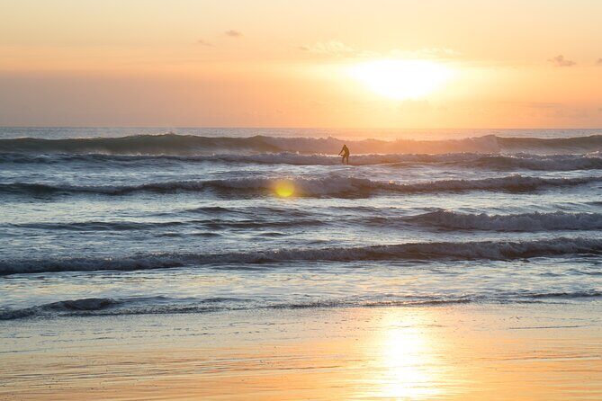 Piha Beach & Wilderness Nature : PRIVATE TOUR 8 hrs - Optional add-ons: Arataki Visitor Centre and Karekare Waterfall