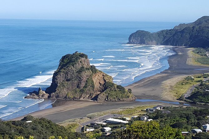 Piha Beach & Wilderness Nature : PRIVATE TOUR 8 hrs - Transportation and timing: what 7.5 hours really means