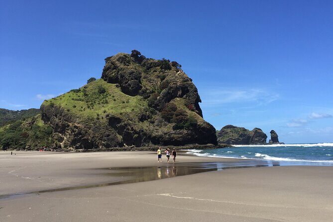 Piha Waitakere Rainforest Wine Tour from Auckland - Soljans Estate Winery in Kumeu: a family story plus a proper lunch