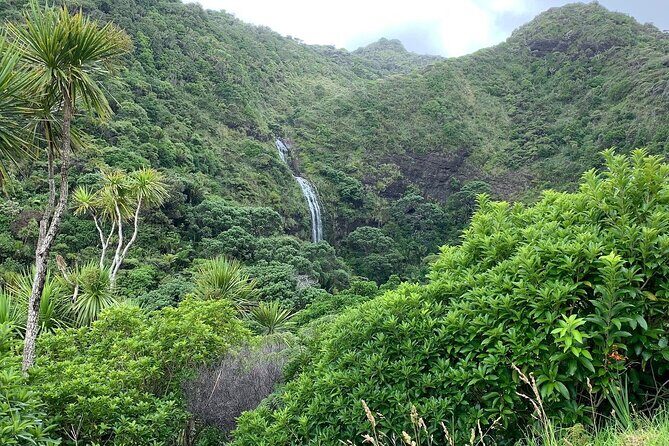 Piha Waitakere Rainforest Wine Tour from Auckland - Westbrook Winery near Waimauku: the second tasting that rounds out the day
