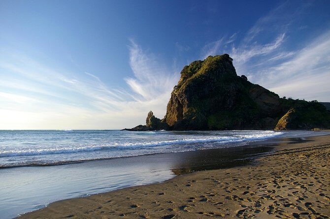 Piha Waitakere Rainforest Wine Tour from Auckland - Pickup, pace, and what the 7 hours really covers