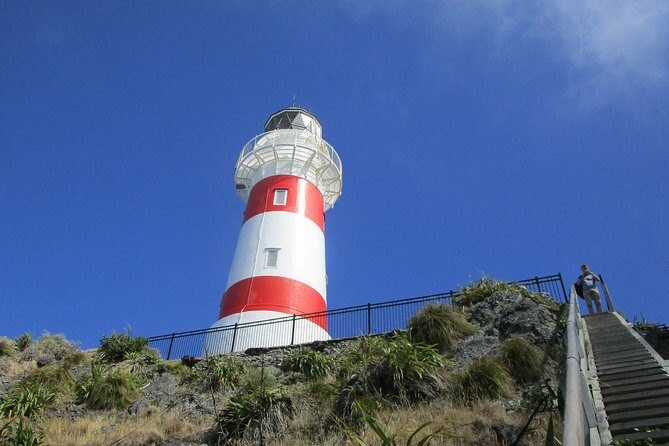 "Pinot to Palliser tour" - Guided tour to Cape Palliser vith lunch + winetasting - Key points that make this tour worth your time