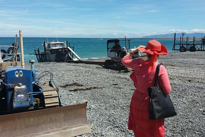 "Pinot to Palliser tour" - Guided tour to Cape Palliser vith lunch + winetasting - Why Cape Palliser fits a wine trip so well