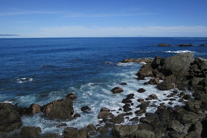 "Pinot to Palliser tour" - Guided tour to Cape Palliser vith lunch + winetasting - Coastline photo stops and seal viewing that actually feels alive