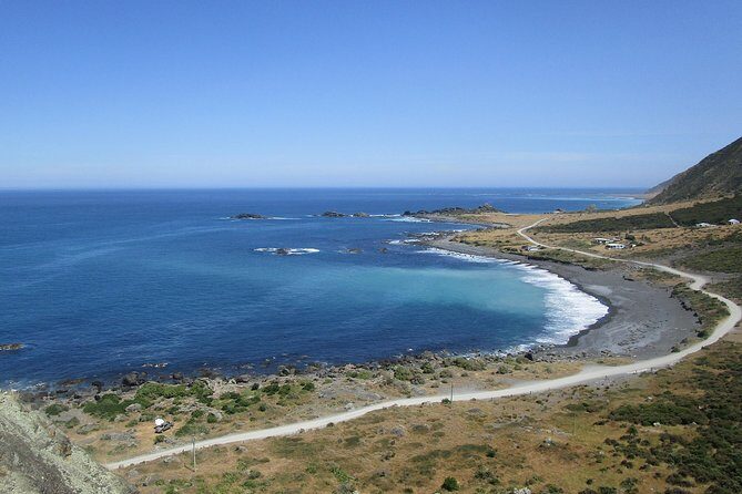 "Pinot to Palliser tour" - Guided tour to Cape Palliser vith lunch + winetasting - Cape Palliser Lighthouse: the 250-plus steps and the best views
