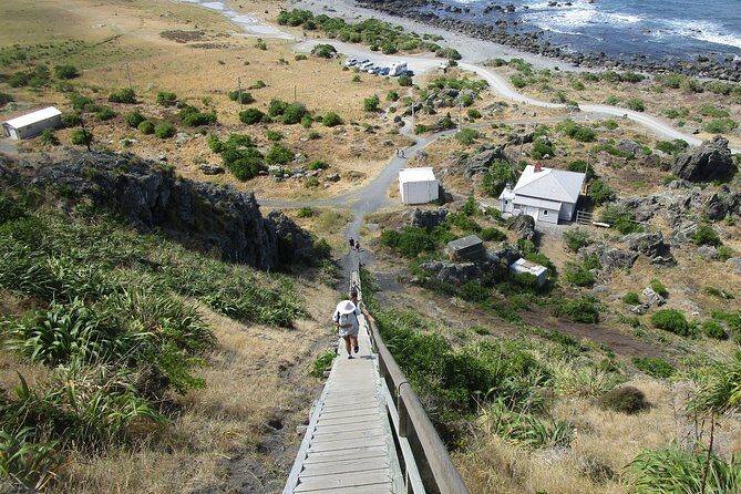"Pinot to Palliser tour" - Guided tour to Cape Palliser vith lunch + winetasting - Lunch at the historic Lake Ferry Hotel (fish, chips, and a reset)