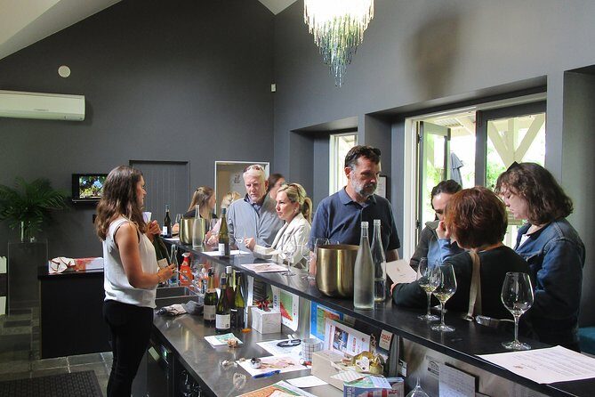 "Pinot to Palliser tour" - Guided tour to Cape Palliser vith lunch + winetasting - The rural vineyard wine tasting in Martinborough