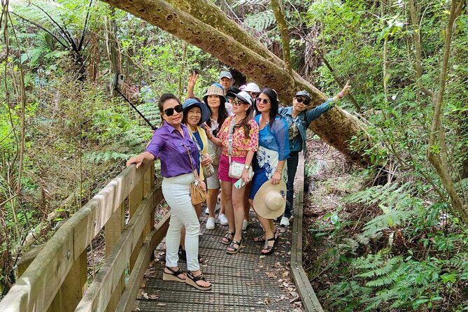 <em>Popular Tour</em> – Bay of Islands: Nature Adventure – 4hrs – Waitangi Lookout: quick views to anchor the day’ /><br />
After the forest and waterfall, you’ll head to <strong>Waitangi Lookout</strong>, with about <strong>15 minutes</strong> at the viewpoint. This is where you get the broader Bay of Islands perspective—less close-up nature, more “place” and geography.</p>
<p><p>The time allocation is realistic: it’s long enough to enjoy the view, but short enough that you don’t lose your momentum. When you’re doing several stops in one day, a 15-minute viewpoint works well as a reset button.</p>
</p>
<p><p>If you’re someone who loves taking photos, this is also the part where you’ll likely appreciate having a quick plan: check your angles, shoot your Bay view, then move on.</p>
</p>
<h2 id="hundertwasser-public-toilets-at-kawakawa-culture-thats-a-little-ridiculous">Hundertwasser public toilets at Kawakawa: culture that’s a little ridiculous</h2>
<p><img width="669" height="446" decoding="async" src=
