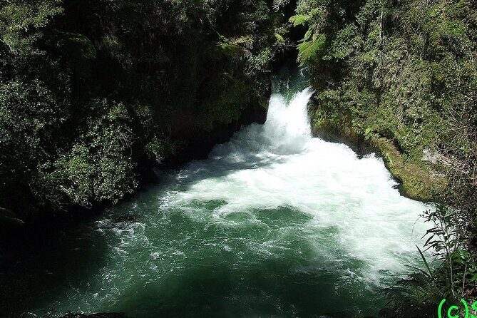 Ports of Tauranga/Rotorua/Tga - 6 Hours Rotorua Highlights Tour - From Port of Tauranga to Rotorua: a smooth start that matters