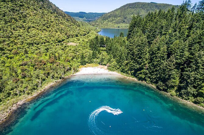 Ports of Tauranga/Rotorua/Tga - 6 Hours Rotorua Highlights Tour - Price check: is $124.11 a good value?