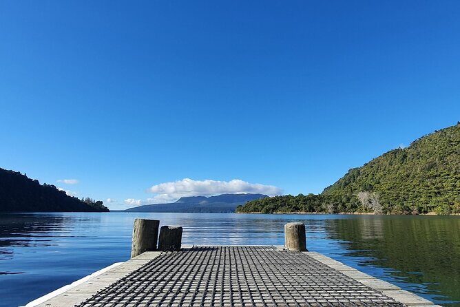 Ports of Tauranga/Rotorua/Tga - 6 Hours Rotorua Highlights Tour - Redwood forest time plus the optional Treewalk