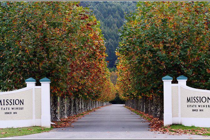 Premium 4 -Best Wineries Napier Hawke's Bay Tour, 5.5h - 6Hours - Who this tour is best for