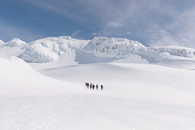 Premium Mt Ruapehu Summit Plateau Guided Group Hike - Price and value: what you’re paying for at $315.25