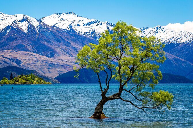 Private 3 Day Queenstown Glenorchy Wanaka and Tekapo - Why this private South Island run feels worth it