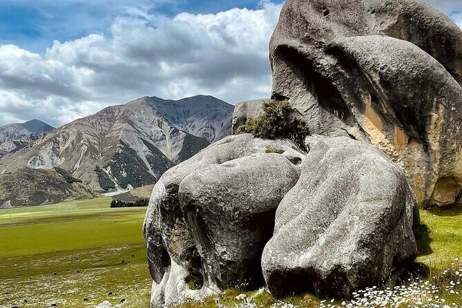 Private Akaroa Day Tour From Christchurch - Comfort and Guide Service: Why the Private Format Matters