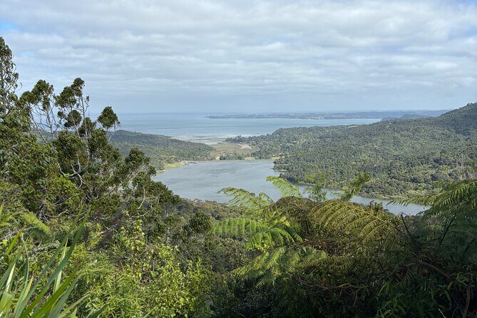 Private Auckland best Spots + Piha beach and rainforest day Tour - Why a private Auckland day works (especially for a first visit)