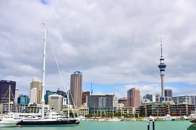 Private Auckland best Spots + Piha beach and rainforest day Tour - Westhaven Marina: Where Auckland’s seafaring identity starts